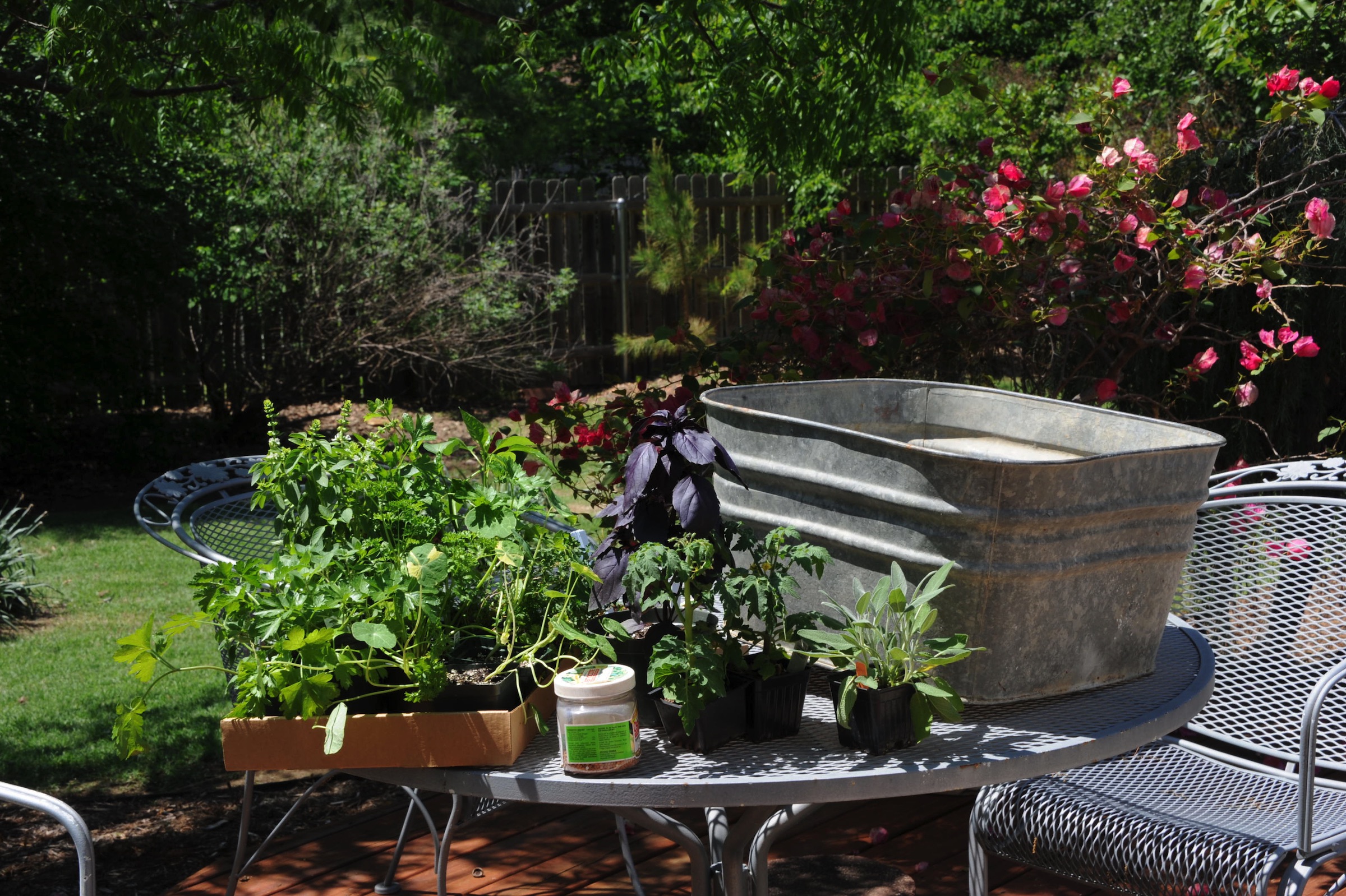 photo of container and supplies to make a container garden